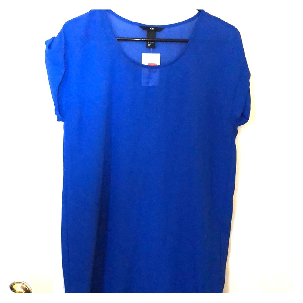 Sheer H&M dress